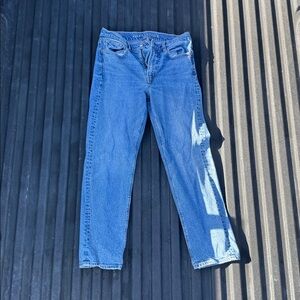 Classic Blue Denim Jeans Stretch